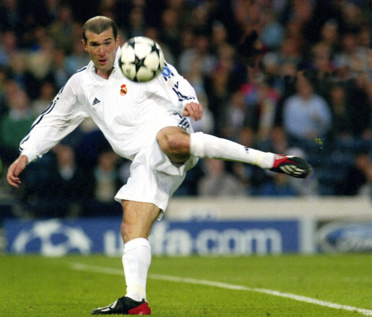 Hình nền Zinedine Zidane (40) - hình nền bóng đá - hình nền cầu thủ - hình nền đội bóng