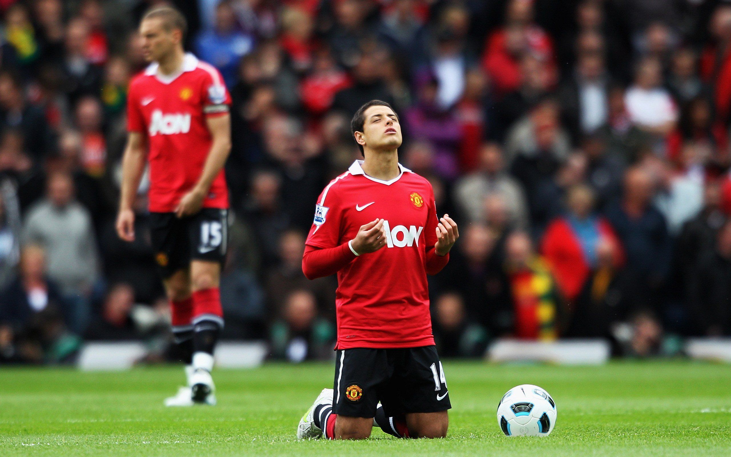Hình nền Javier Hernandez (7) - hình nền bóng đá - hình nền cầu thủ - hình nền đội bóng