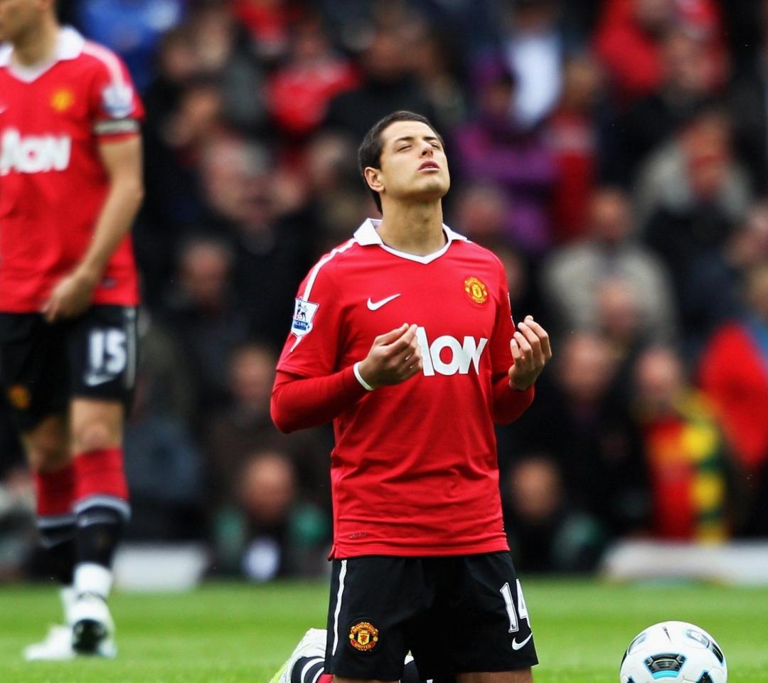 Hình nền Javier Hernandez (5) - hình nền bóng đá - hình nền cầu thủ - hình nền đội bóng