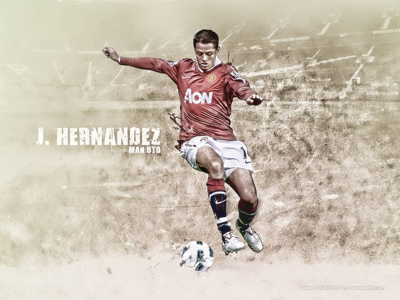 Hình nền Javier Hernandez (60) - hình nền bóng đá - hình nền cầu thủ - hình nền đội bóng