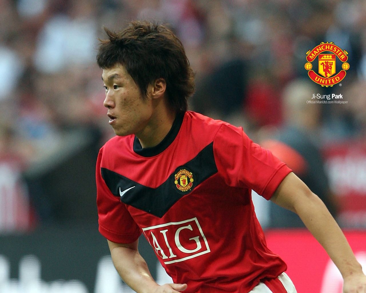 Hình nền Ji Sung Park (3) - hình nền bóng đá - hình nền cầu thủ - hình nền đội bóng