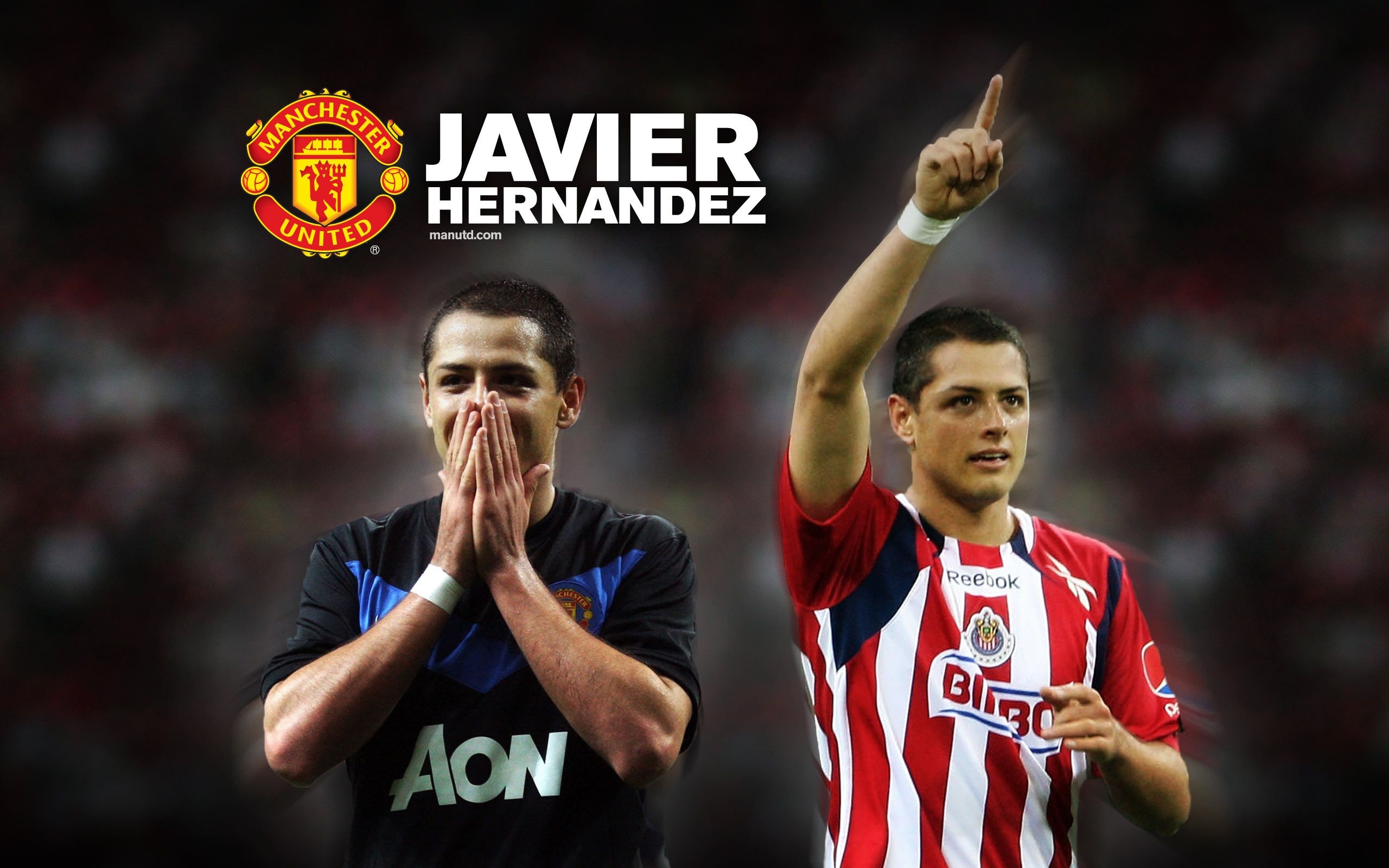 Hình nền Javier Hernandez (30) - hình nền bóng đá - hình nền cầu thủ - hình nền đội bóng