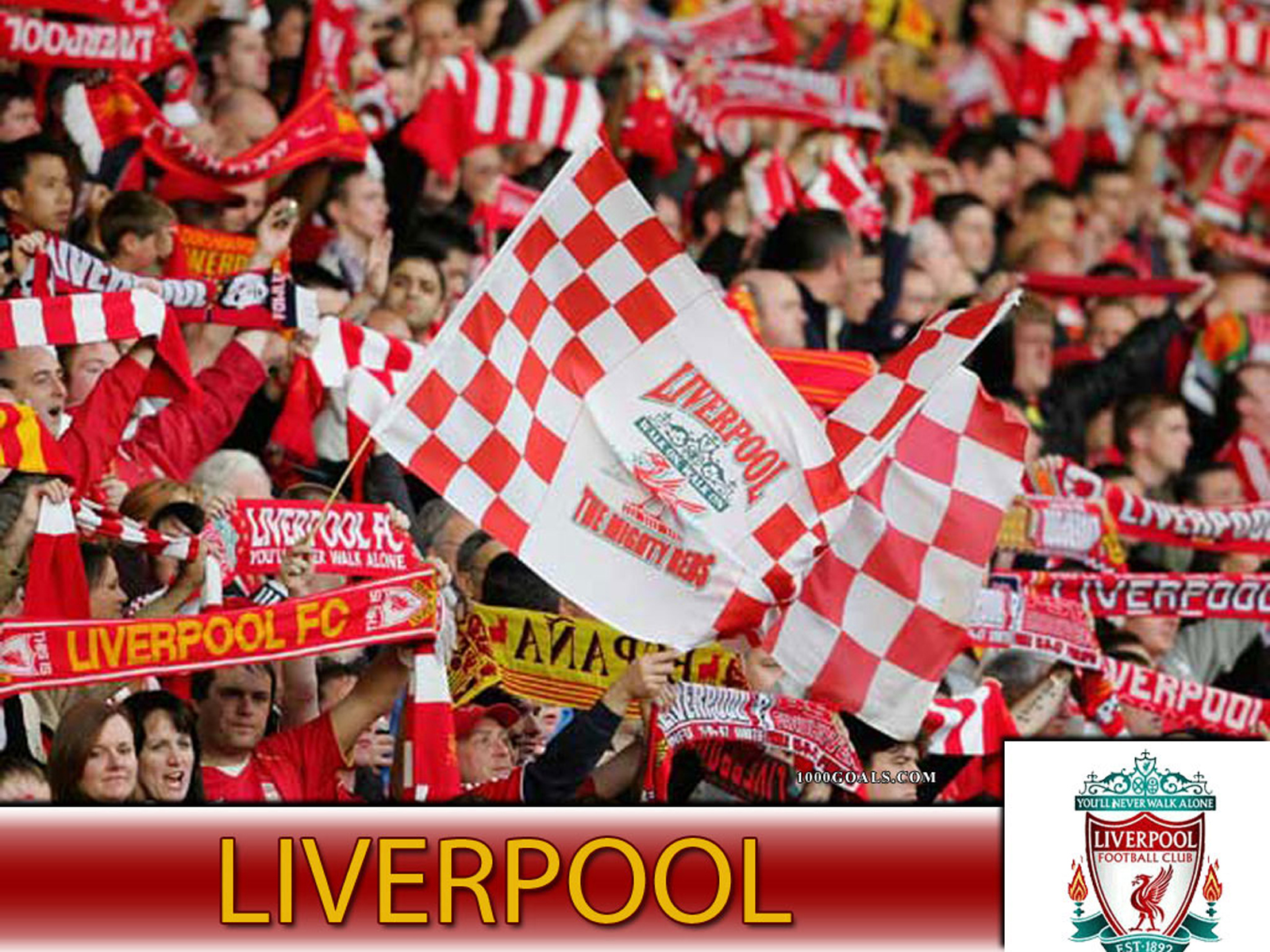 Hình nền Liverpool Wallpaper (61) - hình nền bóng đá - hình nền cầu thủ - hình nền đội bóng
