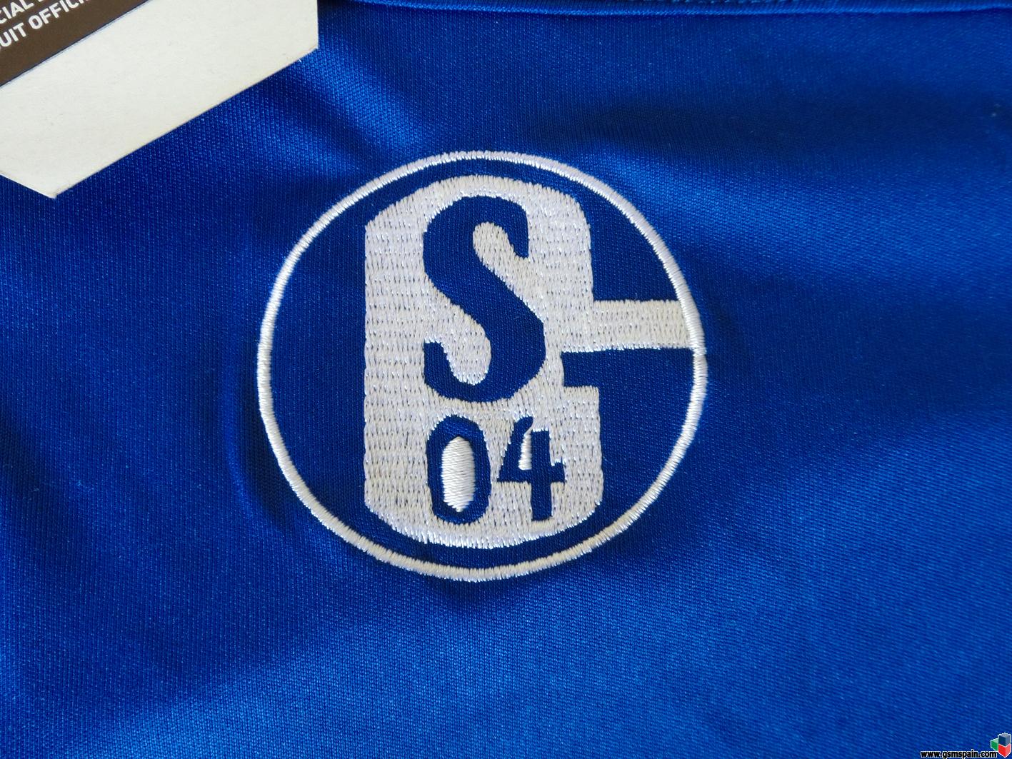 Hình nền Schalke 04 (56) - hình nền bóng đá - hình nền cầu thủ - hình nền đội bóng