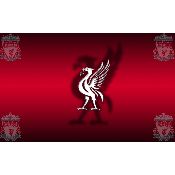 Hình nền Liverpool Wallpaper (66), hình nền bóng đá, hình nền cầu thủ, hình nền đội bóng