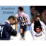 Hình nền zinedine zidane wallpaper (79), hình nền bóng đá, hình nền cầu thủ, hình nền đội bóng