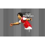 hình nền bóng đá, hình nền cầu thủ, hình nền đội bóng, hình fabregas wallpaper (51)