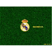 hình nền bóng đá, hình nền cầu thủ, hình nền đội bóng, hình Real Madrid wallpaper (62)