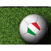 hình nền bóng đá, hình nền cầu thủ, hình nền đội bóng, hình wallpaper italy 2012 (22)