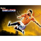hình nền bóng đá, hình nền cầu thủ, hình nền đội bóng, hình sneijder inter milan 2012 (57)