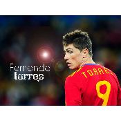 hình nền bóng đá, hình nền cầu thủ, hình nền đội bóng, hình fernando torres (19)