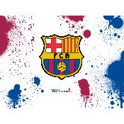 hình nền bóng đá, hình nền cầu thủ, hình nền đội bóng, hình "logo barcelona" (31)
