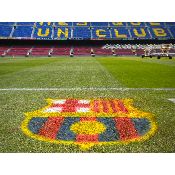 hình nền bóng đá, hình nền cầu thủ, hình nền đội bóng, hình "logo barcelona" (53)