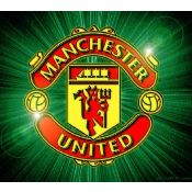 hình nền bóng đá, hình nền cầu thủ, hình nền đội bóng, hình "logo manchester united" (91)