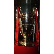 hình nền bóng đá, hình nền cầu thủ, hình nền đội bóng, hình liverpool champions league trophy (13)