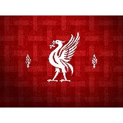 hình nền bóng đá, hình nền cầu thủ, hình nền đội bóng, hình Liverpool FC (96)