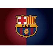 hình nền bóng đá, hình nền cầu thủ, hình nền đội bóng, hình "logo barcelona" (5)