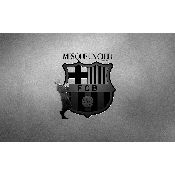 hình nền bóng đá, hình nền cầu thủ, hình nền đội bóng, hình "logo barcelona" (91)