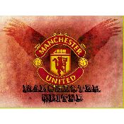 hình nền bóng đá, hình nền cầu thủ, hình nền đội bóng, hình manchester united logo (42)
