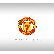 hình nền bóng đá, hình nền cầu thủ, hình nền đội bóng, hình manchester united logo (24)