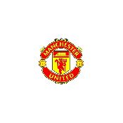 hình nền bóng đá, hình nền cầu thủ, hình nền đội bóng, hình manchester united logo (60)