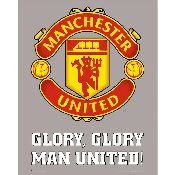 hình nền bóng đá, hình nền cầu thủ, hình nền đội bóng, hình manchester united logo (78)