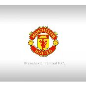 hình nền bóng đá, hình nền cầu thủ, hình nền đội bóng, hình manchester united logo (97)