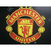 hình nền bóng đá, hình nền cầu thủ, hình nền đội bóng, hình manchester united logo (87)
