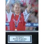 hình nền bóng đá, hình nền cầu thủ, hình nền đội bóng, hình Dennis Bergkamp holland (65)