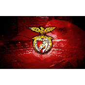 hình nền bóng đá, hình nền cầu thủ, hình nền đội bóng, hình SL Benfica (12)
