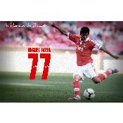 hình nền bóng đá, hình nền cầu thủ, hình nền đội bóng, hình SL Benfica (32)