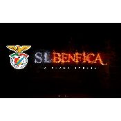hình nền bóng đá, hình nền cầu thủ, hình nền đội bóng, hình SL Benfica (1)