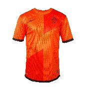 hình nền bóng đá, hình nền cầu thủ, hình nền đội bóng, hình Holland jersey (6)