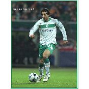 Hình nền Werder Bremen (35), hình nền bóng đá, hình nền cầu thủ, hình nền đội bóng