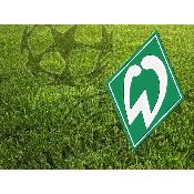 hình nền bóng đá, hình nền cầu thủ, hình nền đội bóng, hình Werder Bremen (11)
