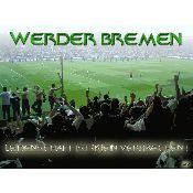 hình nền bóng đá, hình nền cầu thủ, hình nền đội bóng, hình Werder Bremen (39)