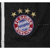 hình nền bóng đá, hình nền cầu thủ, hình nền đội bóng, hình Bayern Munich (94)