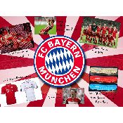 hình nền bóng đá, hình nền cầu thủ, hình nền đội bóng, hình Bayern Munich (52)