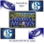 hình nền bóng đá, hình nền cầu thủ, hình nền đội bóng, hình Schalke 04 (8)