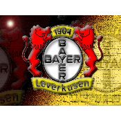hình nền bóng đá, hình nền cầu thủ, hình nền đội bóng, hình Bayern Leverkusen (31)