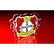 hình nền bóng đá, hình nền cầu thủ, hình nền đội bóng, hình Bayern Leverkusen (4)