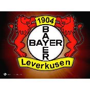 hình nền bóng đá, hình nền cầu thủ, hình nền đội bóng, hình Bayern Leverkusen (2)