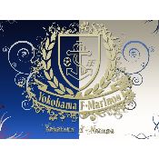 hình nền bóng đá, hình nền cầu thủ, hình nền đội bóng, hình Yokohama Marinos logo (7)