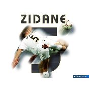 hình nền bóng đá, hình nền cầu thủ, hình nền đội bóng, hình Zinedine Zidane (31)