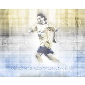 Hình nền Mauro Camoranesi (91), hình nền bóng đá, hình nền cầu thủ, hình nền đội bóng