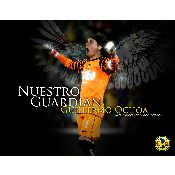 hình nền bóng đá, hình nền cầu thủ, hình nền đội bóng, hình Guillermo Ochoa (52)
