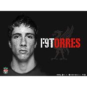 hình nền bóng đá, hình nền cầu thủ, hình nền đội bóng, hình Fernado Torres (42)
