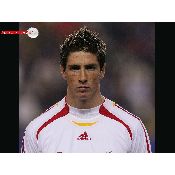 hình nền bóng đá, hình nền cầu thủ, hình nền đội bóng, hình Fernado Torres (27)