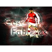 hình nền bóng đá, hình nền cầu thủ, hình nền đội bóng, hình Cesc Fabregas (58)